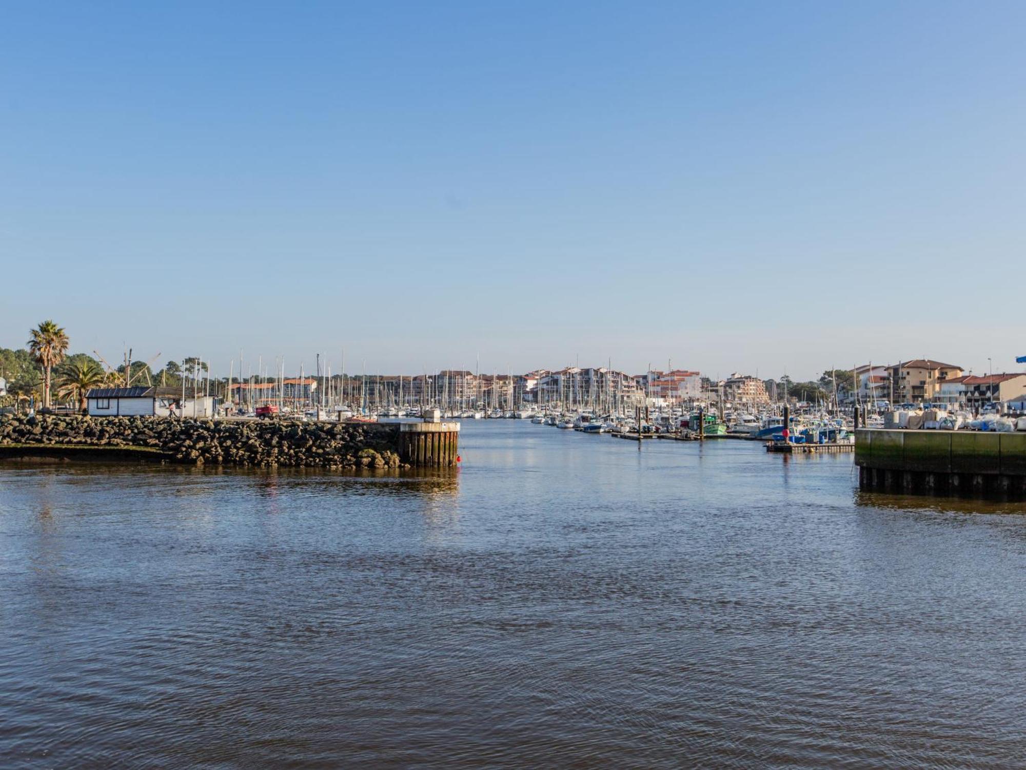 Apartment Les Terrasses Notre Dame Du Port-8 By Interhome 카브레톤 외부 사진